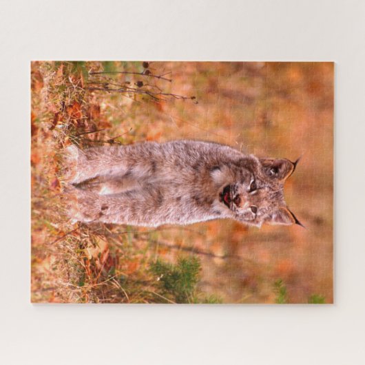 Bobcat Jagd | Herbstwald Puzzle (Horizontal)