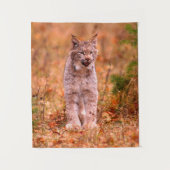 Bobcat Jagd | Herbstwald Wandteppich (Vorderseite)