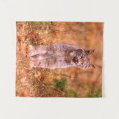 Bobcat Jagd | Herbstwald Wandteppich (Vorderseite (Horizontal))