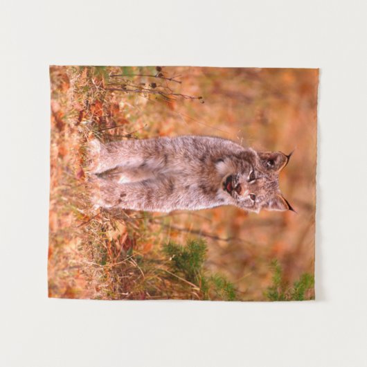 Bobcat Jagd | Herbstwald Wandteppich (Vorderseite (Horizontal))