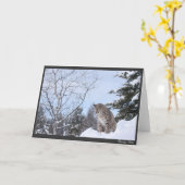 Bobcat Karte (Gelbe Blume)