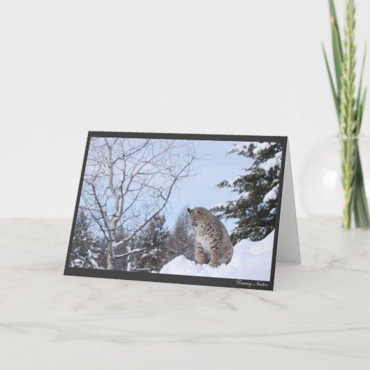 Bobcat Karte (Vorderseite)