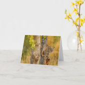 Bobcat Karte (Gelbe Blume)