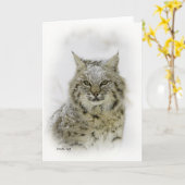 Bobcat Karte (Gelbe Blume)