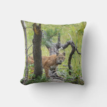 Bobcat Kissen