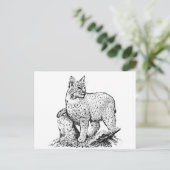 Bobcat Line Art Postkarte (Stehend Vorderseite)