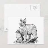 Bobcat Line Art Postkarte (Vorne/Hinten)