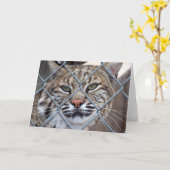 Bobcat Lynx Wild Cat Grußkarte Karte (Gelbe Blume)