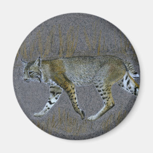 Bobcat Magnet