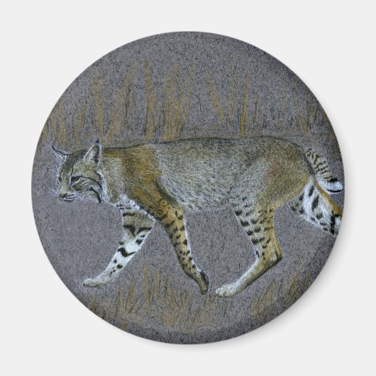 Bobcat Magnet (Vorne)