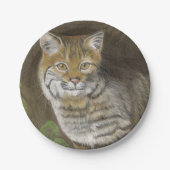 Bobcat Pappteller (Vorderseite)