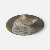 Bobcat Pappteller (Schrägansicht)