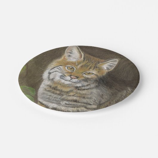 Bobcat Pappteller (Schrägansicht)