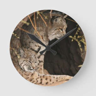 Bobcat Photo Clock Runde Wanduhr