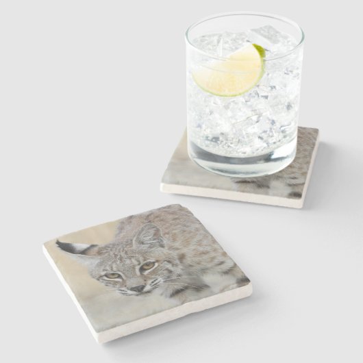 Bobcat Portrait Stone Untersetzer (Seitenansicht)