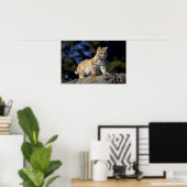 Bobcat Poster (Heimbüro)