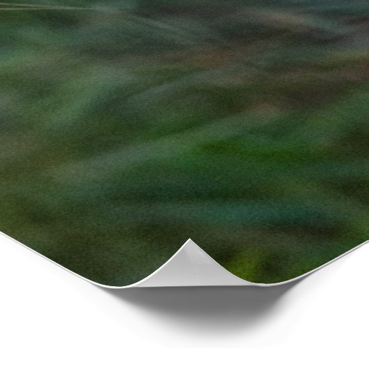 BobCat Poster (Ecke)