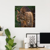 BobCat Poster (Heimbüro)