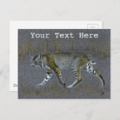 Bobcat Postkarte (Vorne/Hinten)