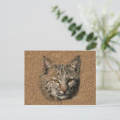 Bobcat Postkarte (Stehend Vorderseite)