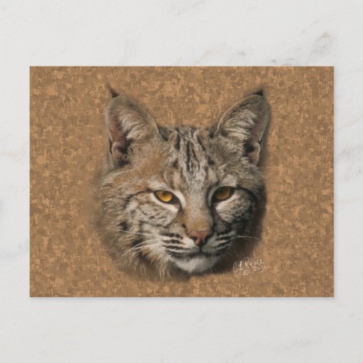 Bobcat Postkarte (Vorderseite)