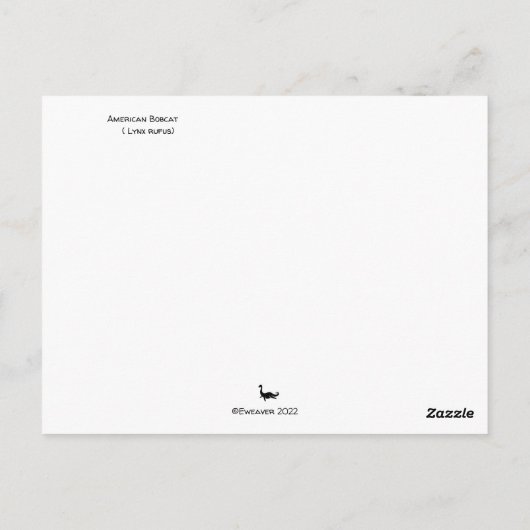 Bobcat Postkarte (Rückseite)