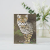 Bobcat Postkarte (Stehend Vorderseite)