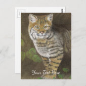 Bobcat Postkarte (Vorne/Hinten)