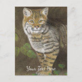 Bobcat Postkarte (Vorderseite)