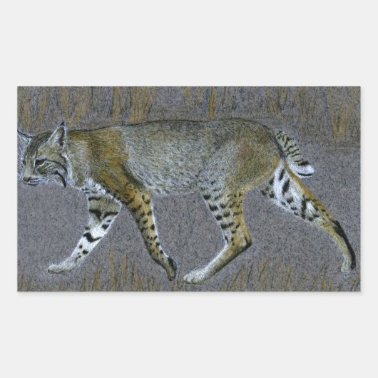 Bobcat Rechteckiger Aufkleber (Vorderseite)