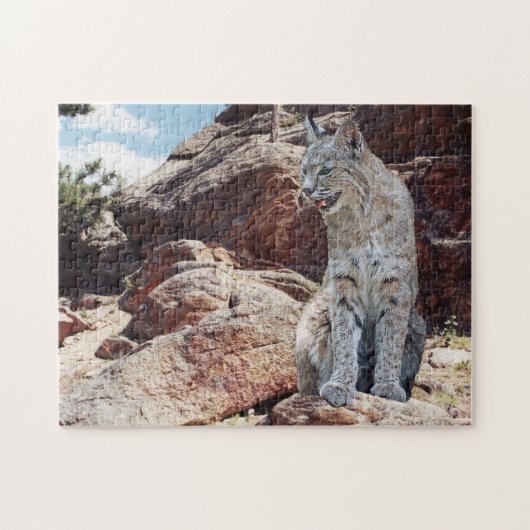 Bobcat Ruhen unter Felsen in Bergen Puzzle (Horizontal)