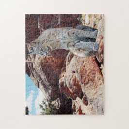 Bobcat Ruhen unter Felsen in Bergen Puzzle