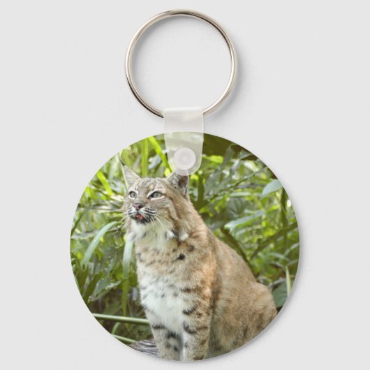 Bobcat Schlüsselanhänger (Vorderseite)