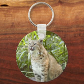 Bobcat Schlüsselanhänger (Vorderseite)