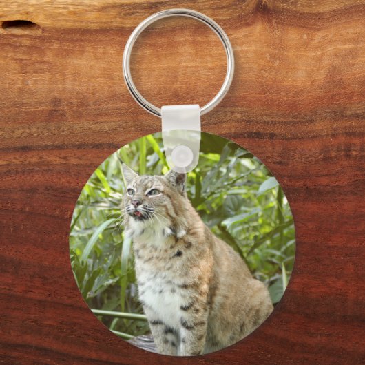 Bobcat Schlüsselanhänger (Vorderseite)