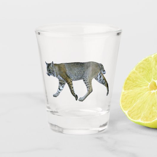Bobcat Schnapsglas (Vorderseite)