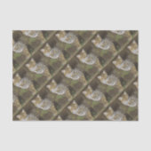 Bobcat Seidenpapier (Vorderseite)