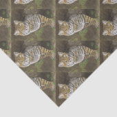 Bobcat Seidenpapier (Ausschnitt)