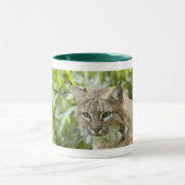 Bobcat-Tassen Tasse (Zentrum)