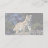 Bobcat Visitenkarte (Rückseite)