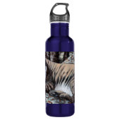 Bobcat Wasserflasche Edelstahlflasche (Vorderseite)
