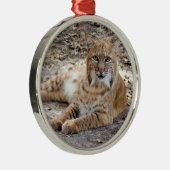 Bobcat Weihnachtsschmuck (Rechts)