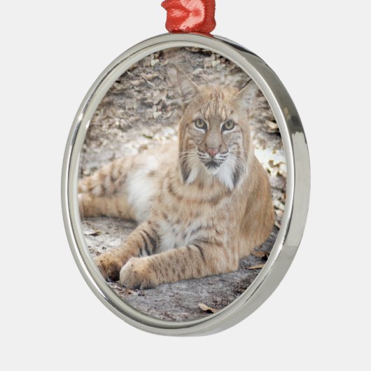 Bobcat Weihnachtsschmuck (Links)