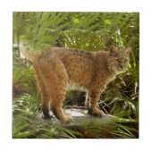 BobcatBCR004 Fliese (Vorderseite)