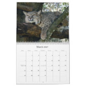 BobcatBCR031, Rotluchs Kalender (Mär 2027)