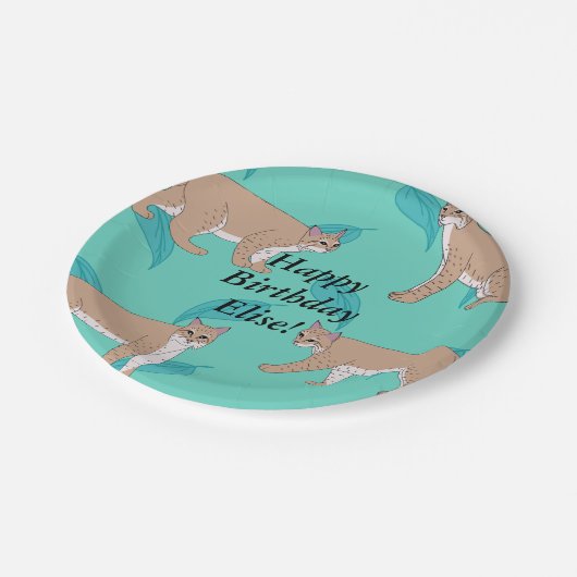 Bobcats Birthday Pappteller (Schrägansicht)