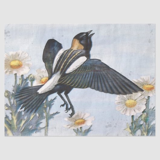Bobolink Bird Decoupage Tissue Paper Seidenpapier (Vorderseite)