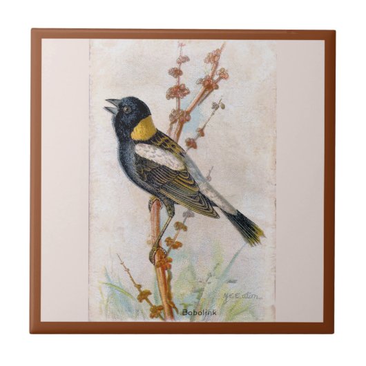Bobolink Large Bird Keramik Tile Fliese (Vorderseite)