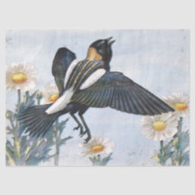 Bobolink-Vogel-Dekupiers-Spülpapier