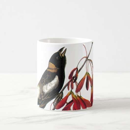 Bobolink von Audubon Kaffeetasse (Mittel)
